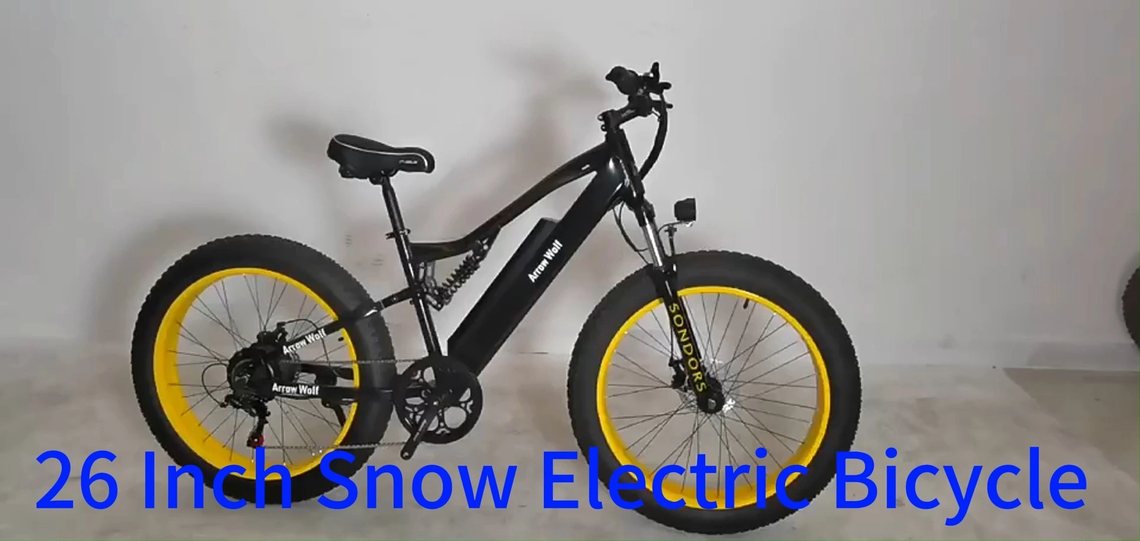 Dual 52V 1000W Lithium Battery Electric Bike High Speed 35mph Full Suspension Fat Tire 48V 1000W Brushless 1000W 52V 48v Full 1