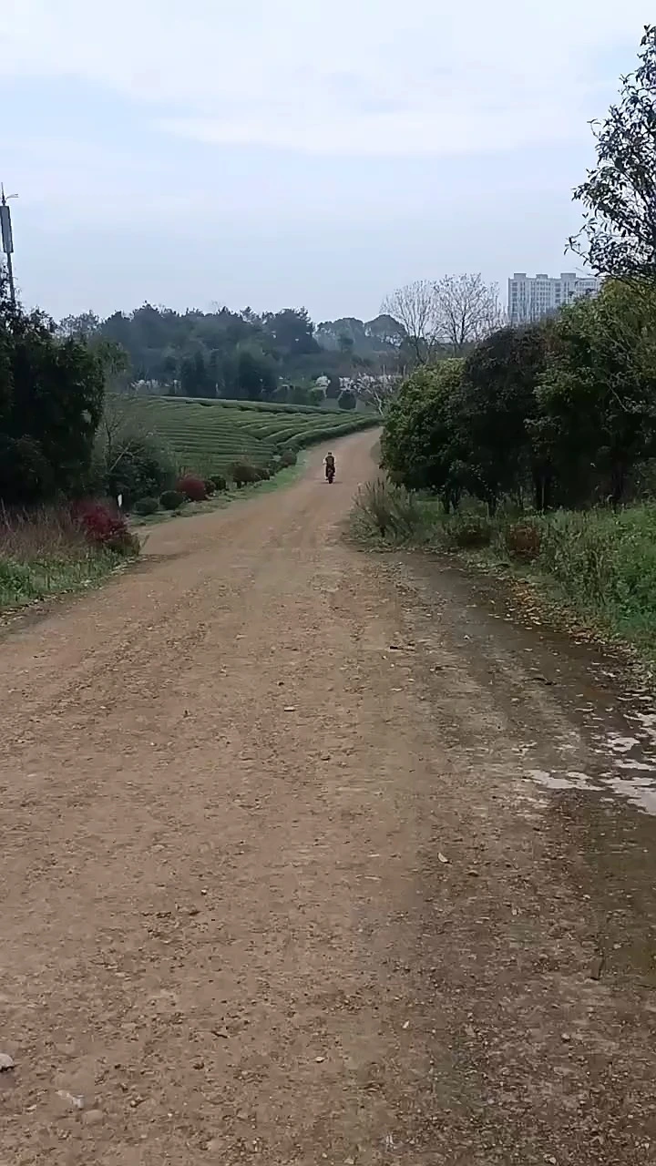 DomeRide 48v Harley Electric Car & Motorcycle Off-Road Electric Mountain Beach Bike with Steel Frame and Rear Hub Motor for Amazon 1