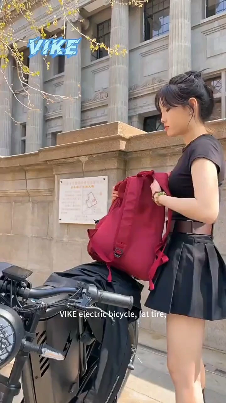 DomeRide Cross-border Wide Obesity Black Samurai 500W 48V Steel Frame Electric Mountain Bike Retro Off-road Fat Tire Lithium-assisted 1