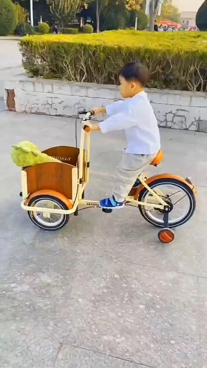 DomeRide Cargo Three-Wheel Kids Bike Cargo Bike Large Power Rear Battery Europe Stock Warehouse 3 Wheel Family Cargo 1