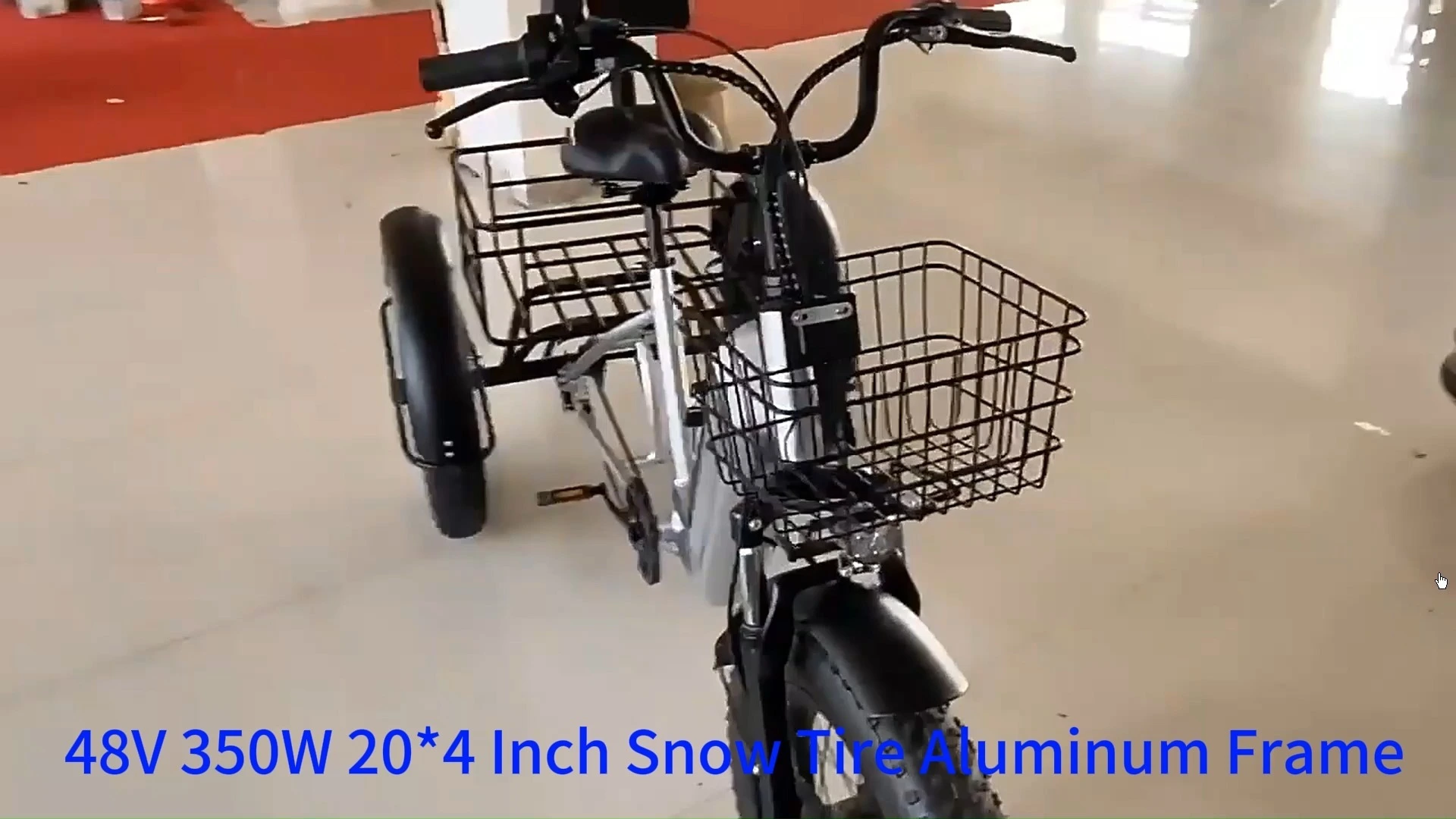 DomeRide Electric Cargo Bike 20*4 Inch Rear Motor 350W 48V 500W Fat Tire Bike Electric Bike 3 Wheel Electric Tricycle 1