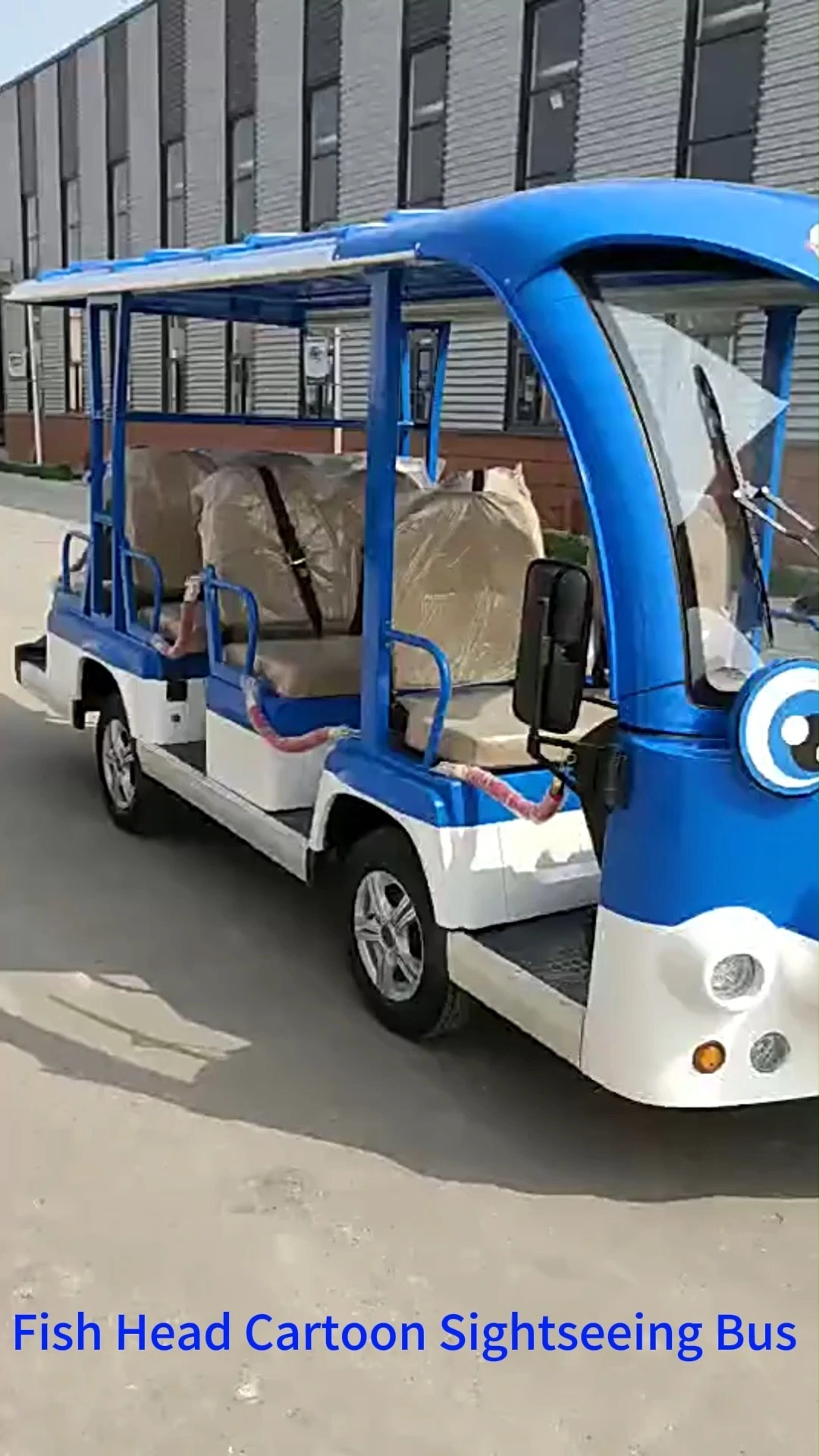 DomeRide DR-X001 Four-Wheel Electric Sightseeing Scooter Brushless Motor 5000W Waterproof 30km/h Max Speed 1500kg Load Capacity 1