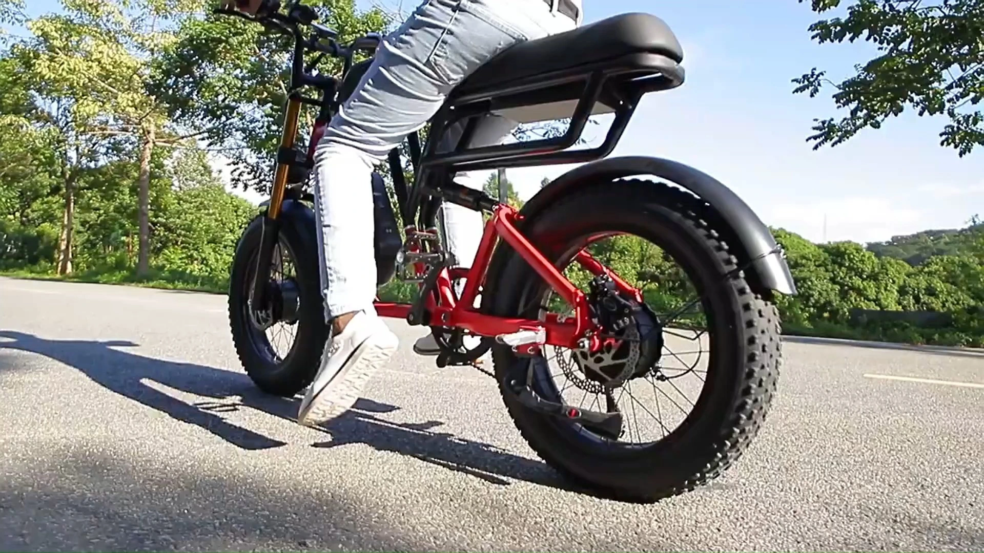 Hot Sale DomeRide 1000W Motor E-Bike 48V 20 Inch Lithium Battery Fast 45KM/H Fat Tire Mountain Electric Bicycle for Snow Riding 1