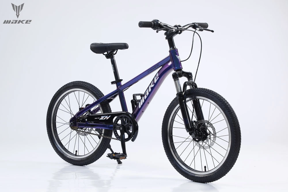 Youth Mountain Bike/Bicycle Aluminum Alloy 20 Inch Single Speed Disc Brake 1