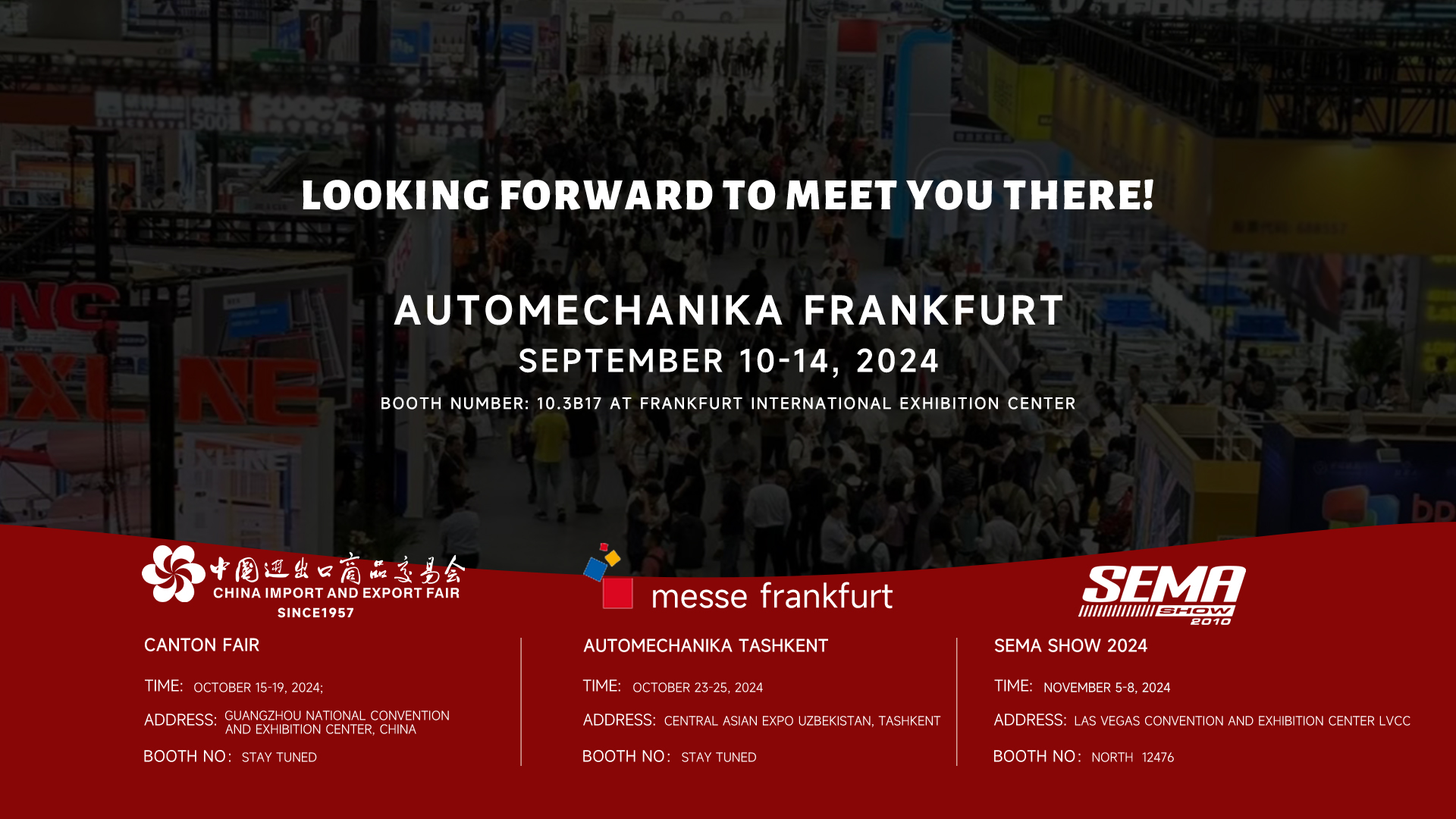 Best TEKWAY 18V Brushless Sheet Orbital Finishing Sander Company - Tekway 11