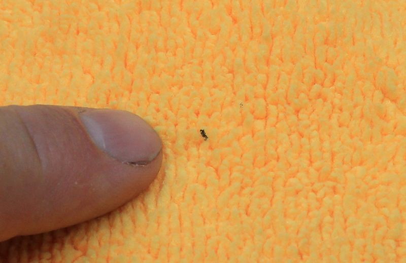 How, why & when to inspect your microfiber towels when detailing cars? 4