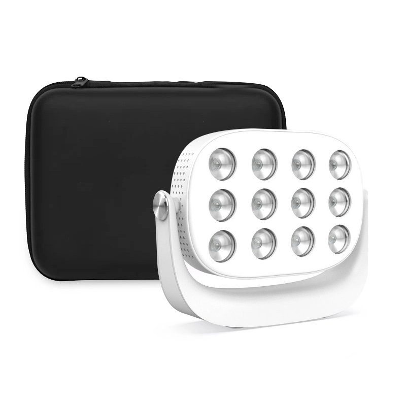 Uso del hogar Handheld Portable Red LED Terapia Mini Panel Dispositivo 1
