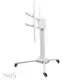 Good Selling Red Light Therapy Lamp Stand for Beauty and Skincare 1