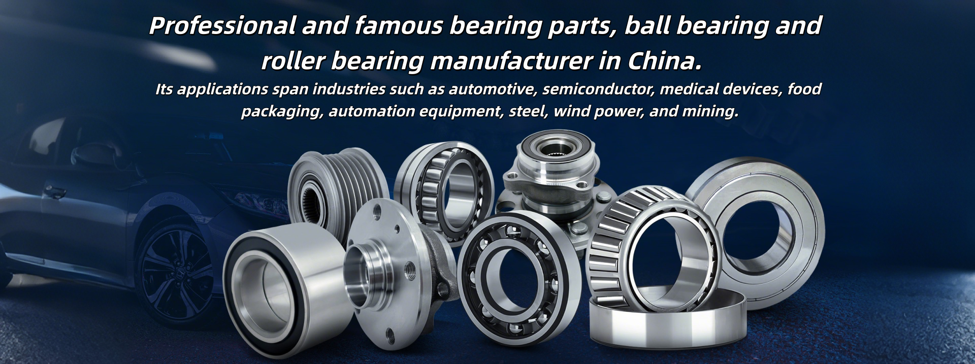 Since 1989auto bearing part supplier  Manufacturer