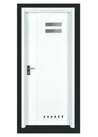 Flush Door PP007-2 1