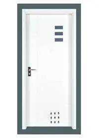 Flush Door PP005-2 1