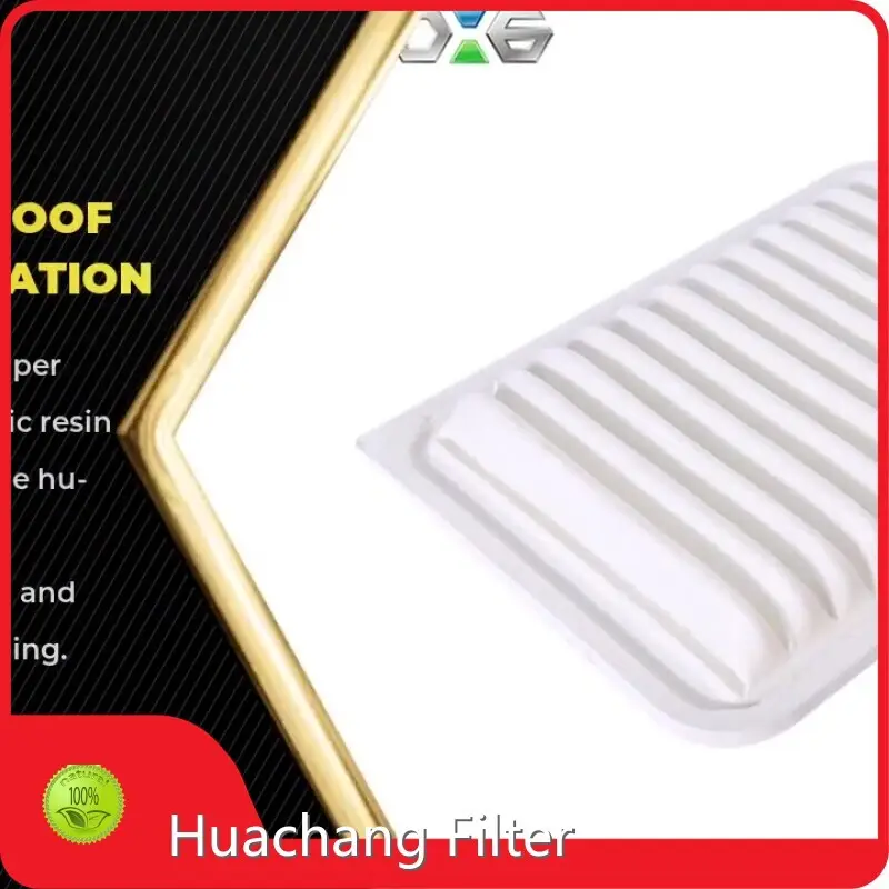 হুয়াচ্যাং ফিল্টার দ্বারা দক্ষ এয়ার ফিল্টার 1