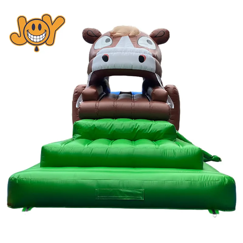 Joy Inflatable Bounce House with Slide Inside From Manufacturer 2