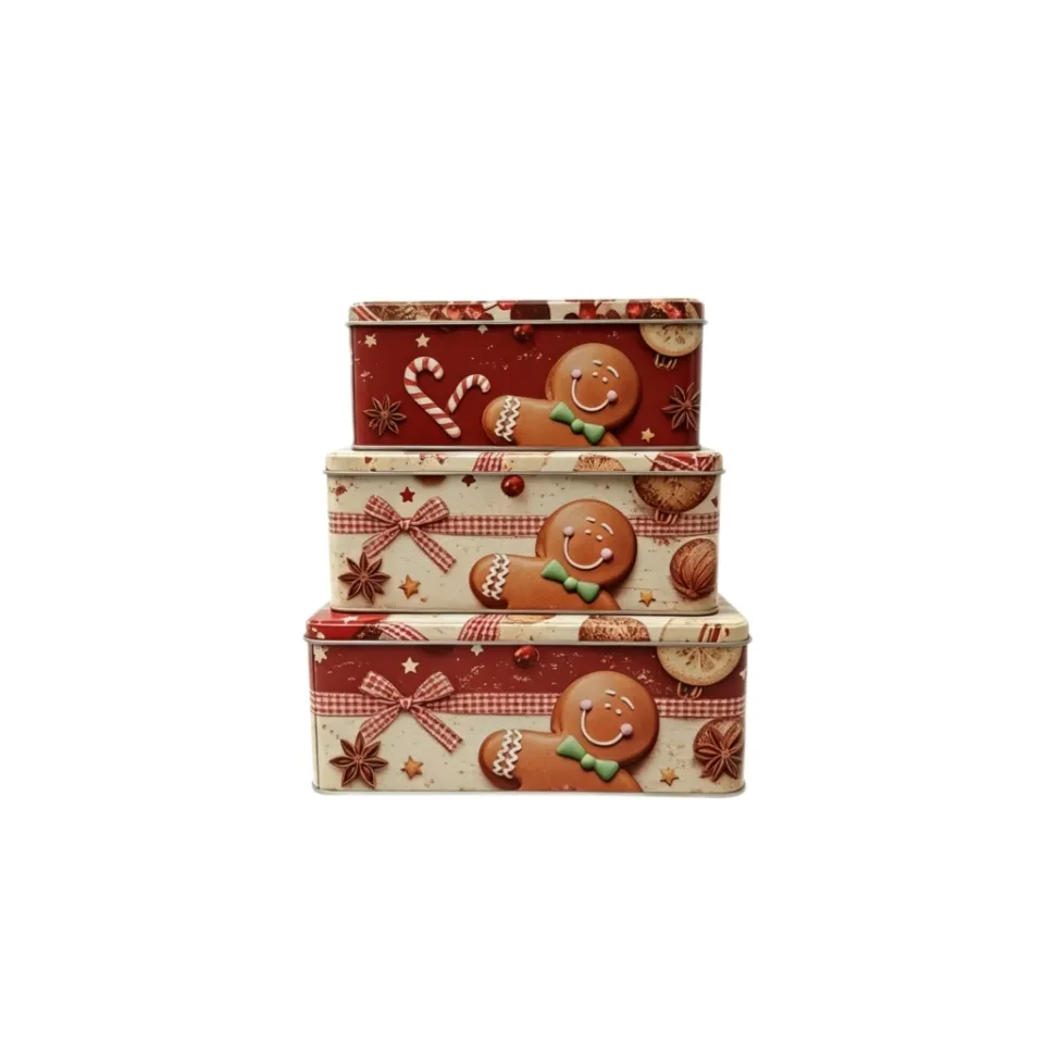 Tin Container | HJ GROUP