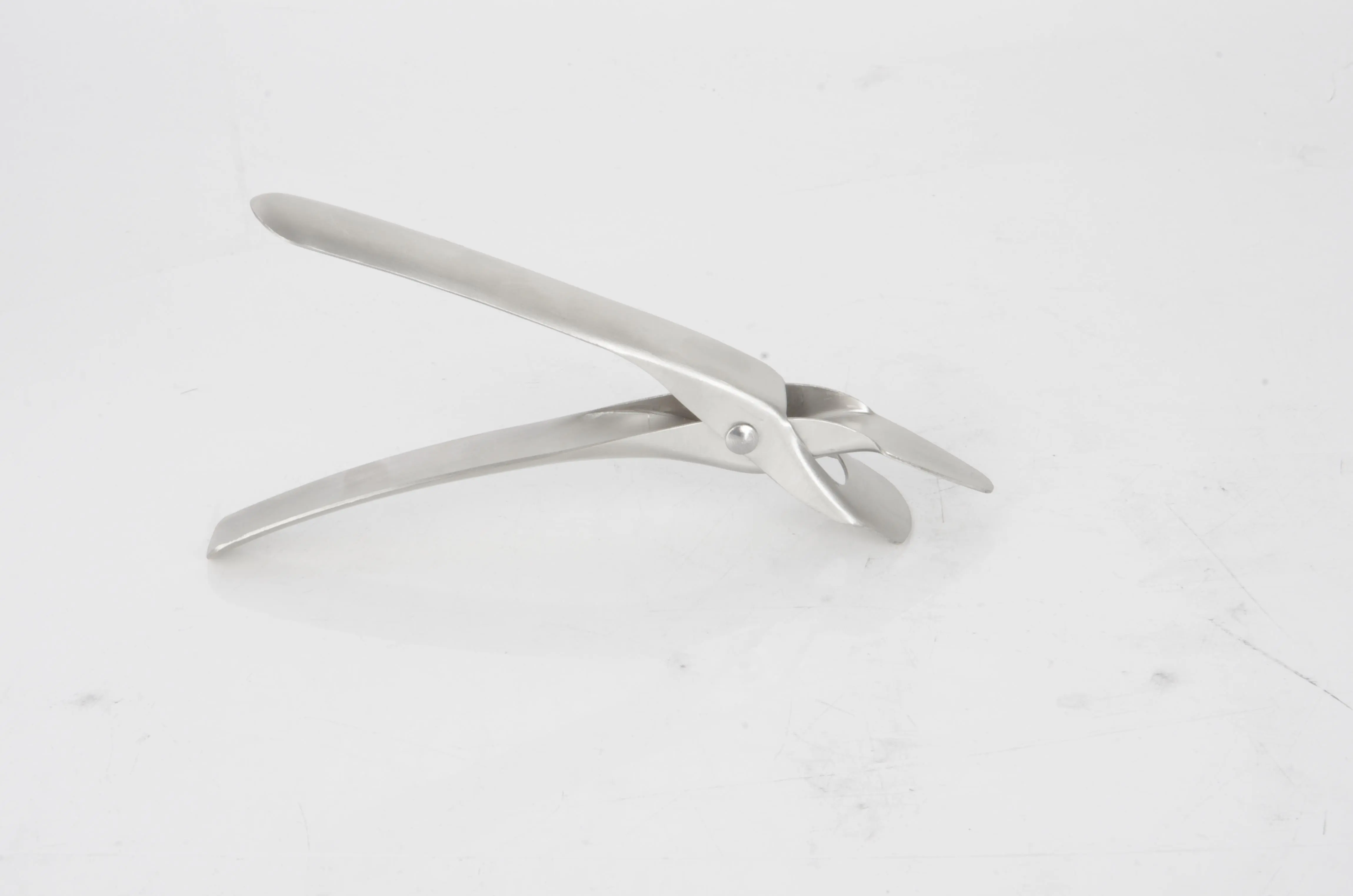 Stainless Steel Multi-purpose Kitchen Clip 201# RGS-Z4891 1