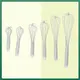 Evergreen small stainless steel whisk factory for cooking 3