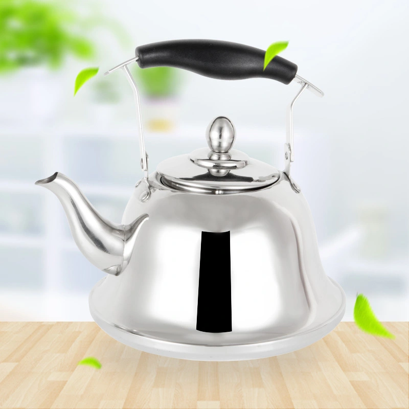 Stainless Steel Art Pot With Leaking 201# RGS-KA24001 1