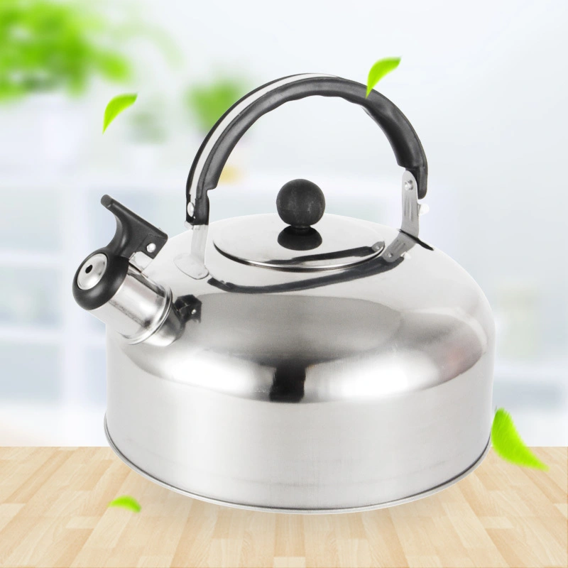Stainless Steel 2.5L Whistle Kettle RGS-KD661 1