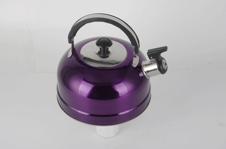 Stainless steel 410 Color spray of extra thick flat bottom kettle RGS-KD662-P 1