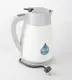 Evergreen brushed stainless tea kettle Suppliers for kitchen 2