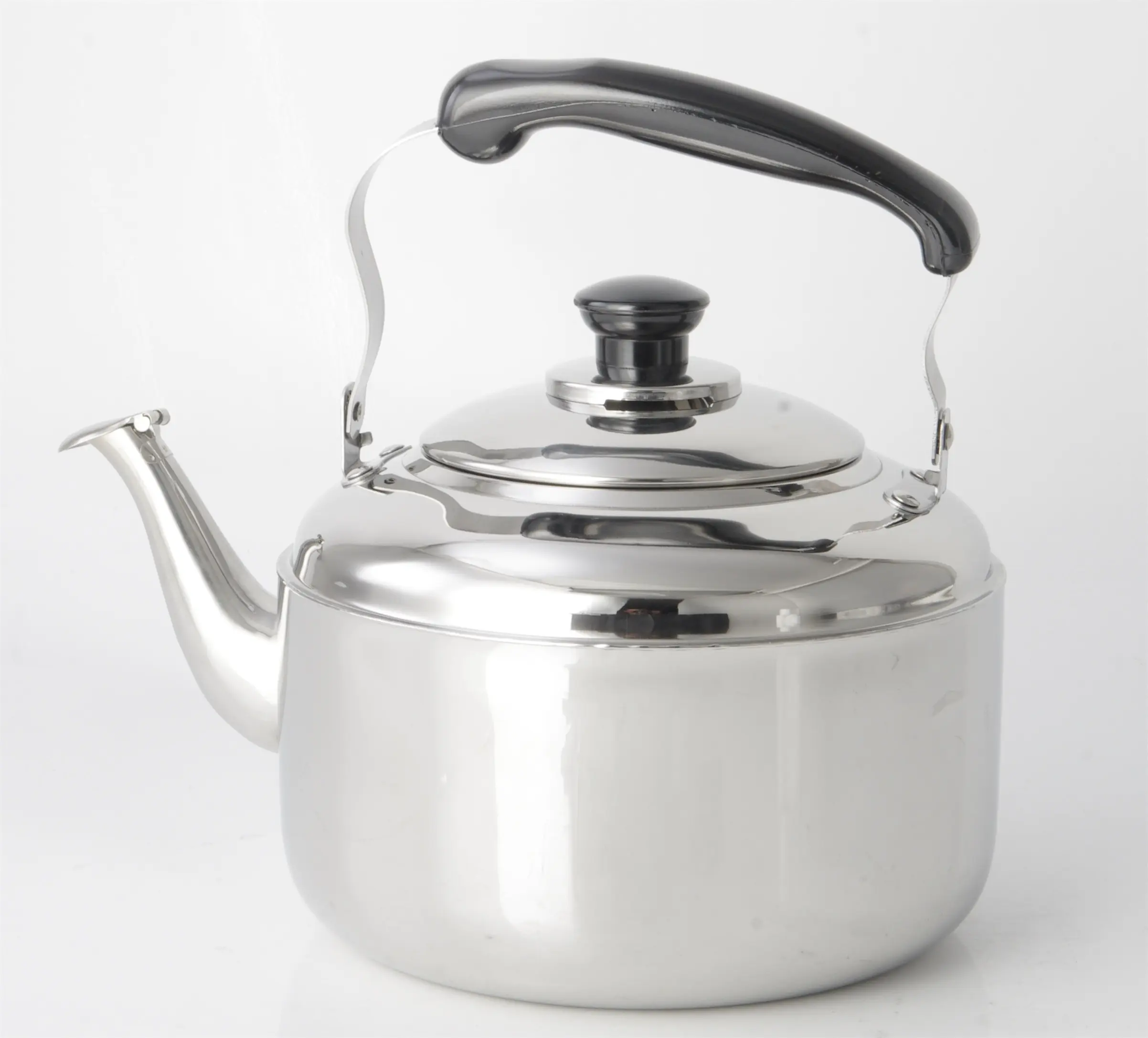Evergreen brushed stainless tea kettle company for kitchen 2