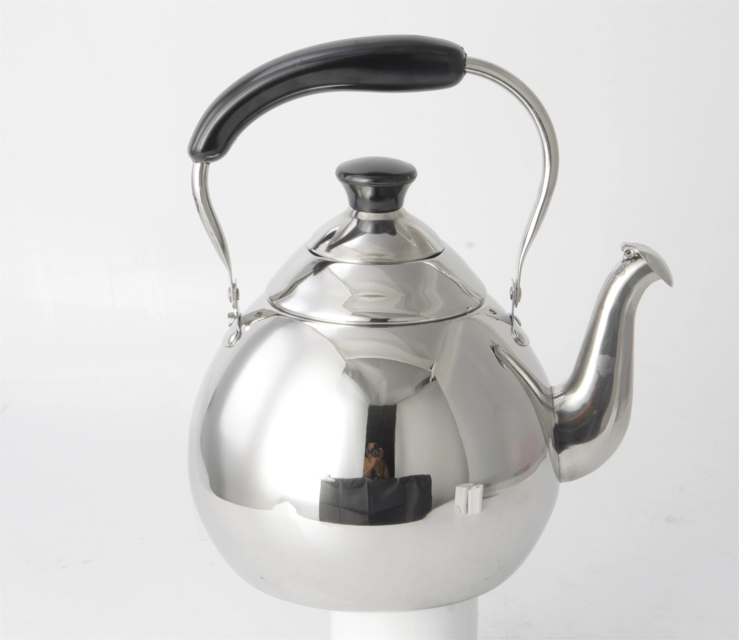 STAINLESS STEEL SS201 KETTLE RGS-KL3010 1
