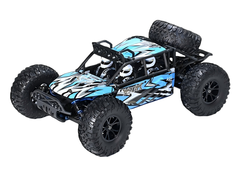 OEM & ODMブラシ付きRCバギー価格表| Riverhobby