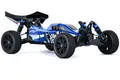 Best Rc Cars for Adults Price List 6