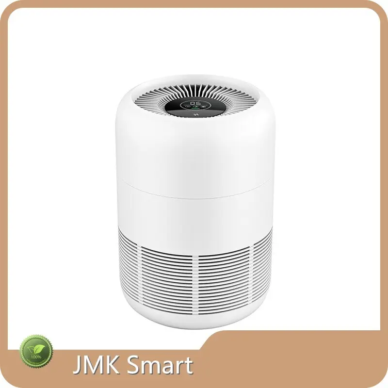 Air Purifier for Mold Air Quality Appliances Wholesale - JMK Smart 1