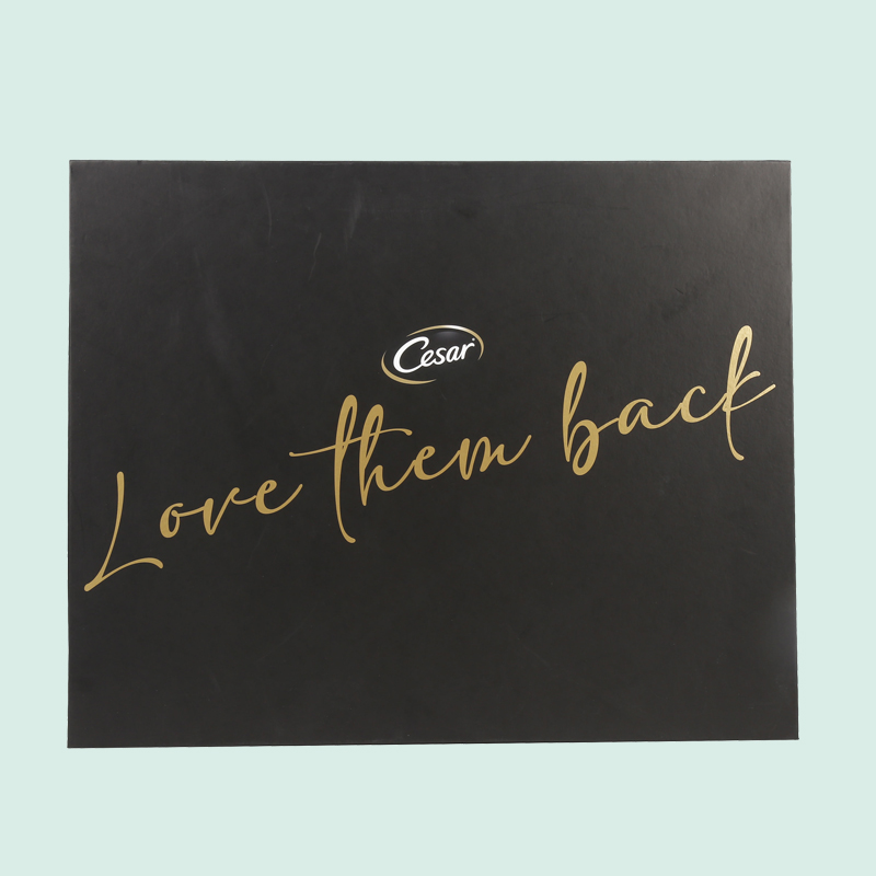 Customized luxury magnetic box luxury box with foam insert Ipack box 2