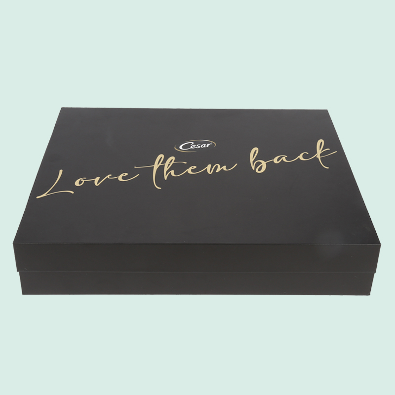 Customized luxury magnetic box luxury box with foam insert Ipack box 3
