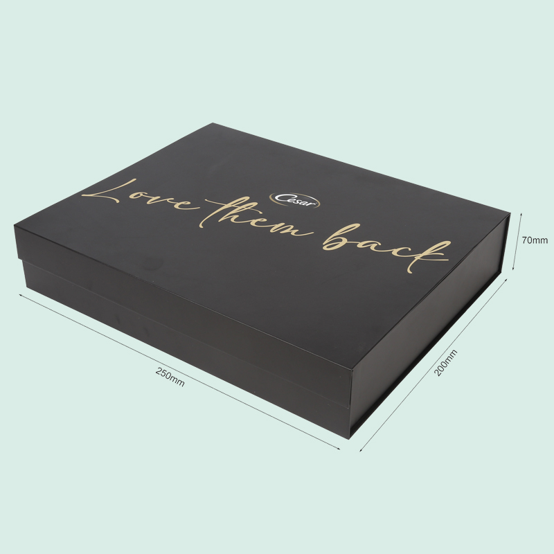 Customized luxury magnetic box luxury box with foam insert Ipack box 1