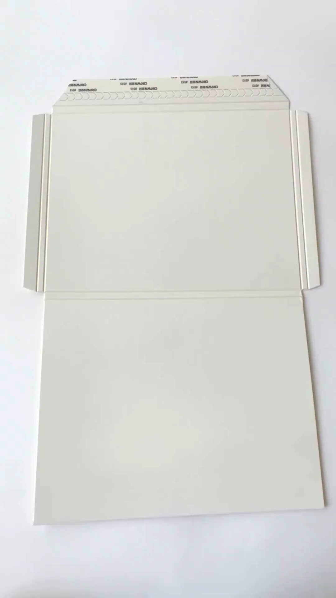 OEM Customized Wholesale Bag Envelope Folder With Sealing 1