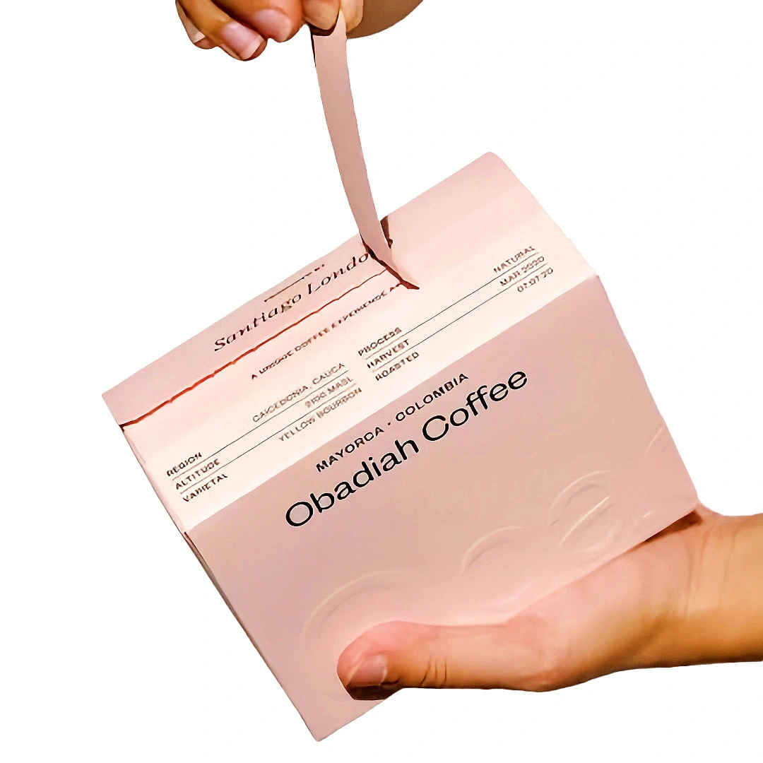 Impression personnalisée ECommerce en carton à fermeture éclair zipper la boîte d'expédition de l'emballage de mailer 1