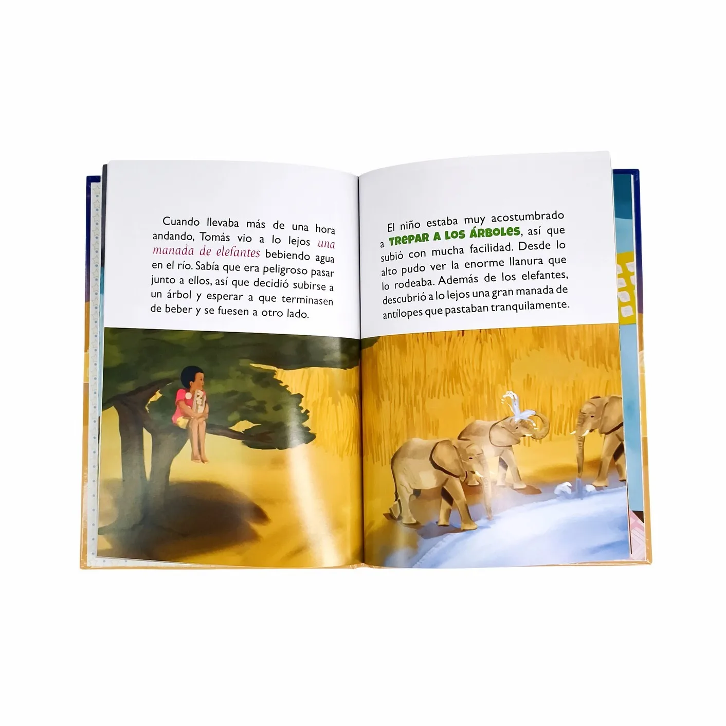 Factory Custom Gloss Lamination Cover Hardcover Story Book Printing for Children 1