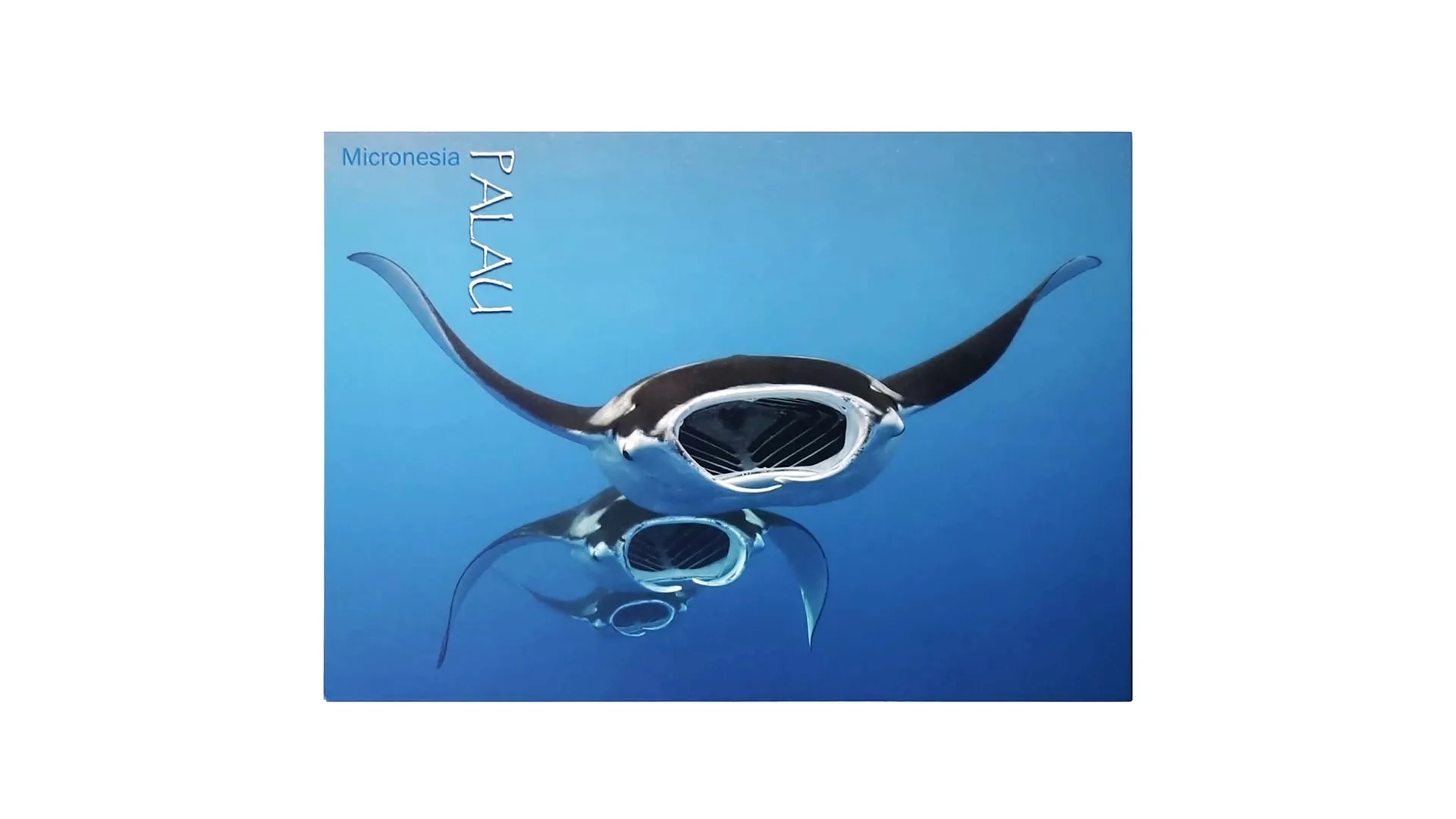 Factory Custom Postcard Travel Postcard with Matte Lamination 1