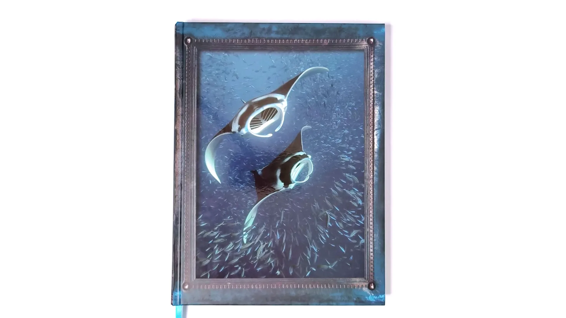 Xinghe Printing Custom Printing Colored Marine Biology Book Silver Stamping 1