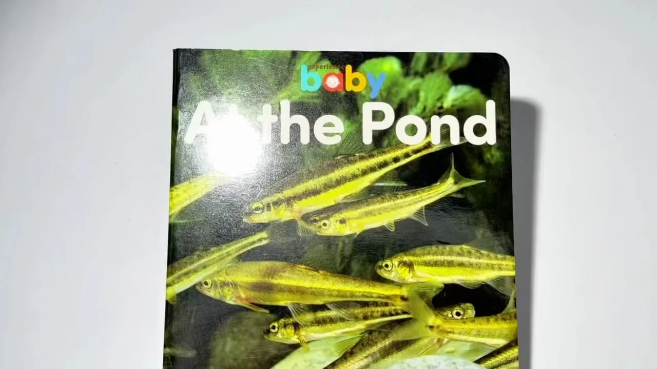 Coated Paper
