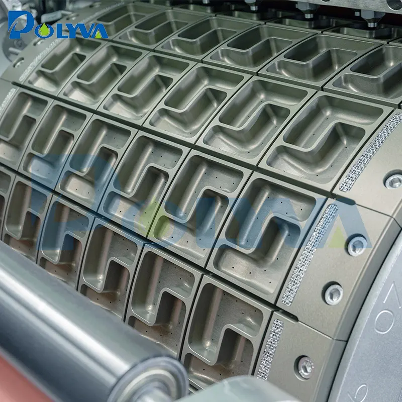 POLYVA laundry pod making machine manufacturer 6