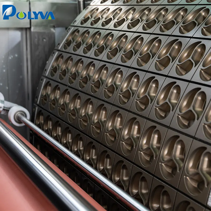 POLYVA oem & odm laundry pod machine producers 4
