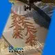 water soluble film manufacturers transfer computer pva POLYVA Brand company 1