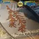 water soluble film manufacturers cleaner printing POLYVA Brand 1