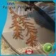 good transparency polyvinyl alcohol plastic bags supplier for garment POLYVA 1