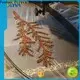 POLYVA eco-friendly polyvinyl alcohol purchase series for water transfer printing 1