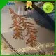 POLYVA polyvinyl alcohol purchase factory direct supply for water transfer printing 1