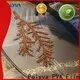high quality polyvinyl alcohol bags with good price for medical 1