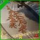 POLYVA advanced polyvinyl alcohol bags supplier for toilet bowl cleaner1 1