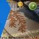 eco-friendly pvoh film supplier for toilet bowl cleaner 1