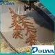POLYVA advanced pva bags supplier for garment 1