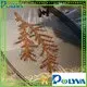 POLYVA eco-friendly plastic bags that dissolve in water supplier for garment1 1